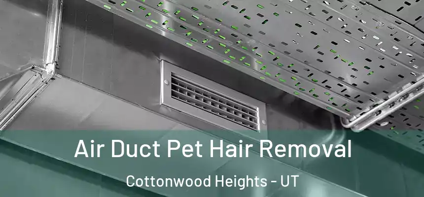 Air Duct Pet Hair Removal Cottonwood Heights - UT