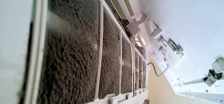 Preventive Air Duct Bacteria Removal in Cottonwood Heights