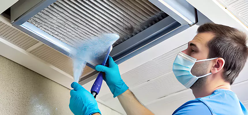 Proactive Dryer Vent & Auxiliary Duct Pollen Cleanup in Cottonwood Heights, UT