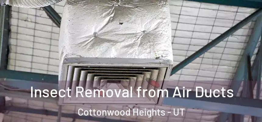  Insect Removal from Air Ducts Cottonwood Heights - UT