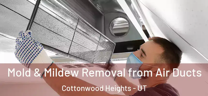 Mold & Mildew Removal from Air Ducts Cottonwood Heights - UT