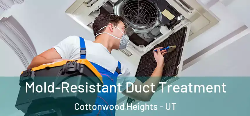 Mold-Resistant Duct Treatment Cottonwood Heights - UT