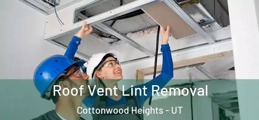  Roof Vent Lint Removal Cottonwood Heights - UT