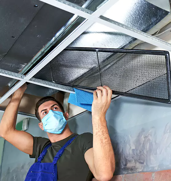 Professional Air Duct Pollen Cleaning in Cottonwood Heights, UT