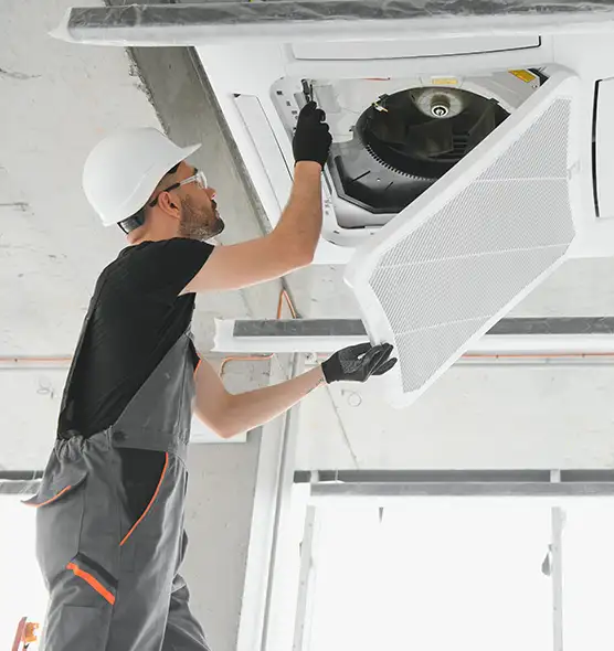 About Air Duct Rodent Removal in Cottonwood Heights, UT